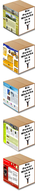 Biz Power Website in a Box Examples